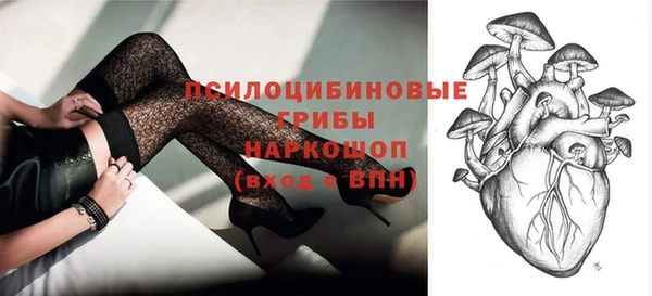 ГАЛЛЮЦИНОГЕННЫЕ ГРИБЫ Бородино