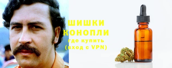 ГАЛЛЮЦИНОГЕННЫЕ ГРИБЫ Бородино