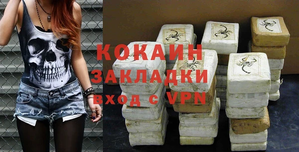 ГАЛЛЮЦИНОГЕННЫЕ ГРИБЫ Бородино
