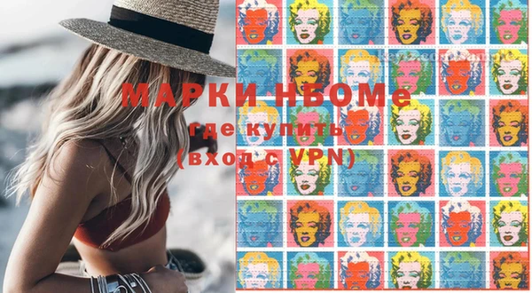 ГАЛЛЮЦИНОГЕННЫЕ ГРИБЫ Бородино