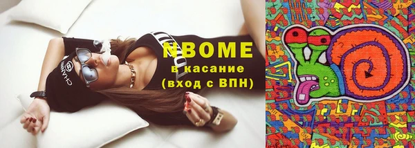 ГАЛЛЮЦИНОГЕННЫЕ ГРИБЫ Бородино