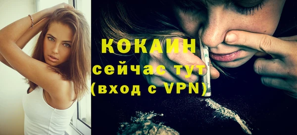ГАЛЛЮЦИНОГЕННЫЕ ГРИБЫ Бородино